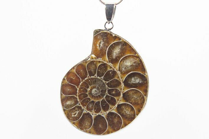 Fossil Ammonite Pendant - Million Years Old #306486